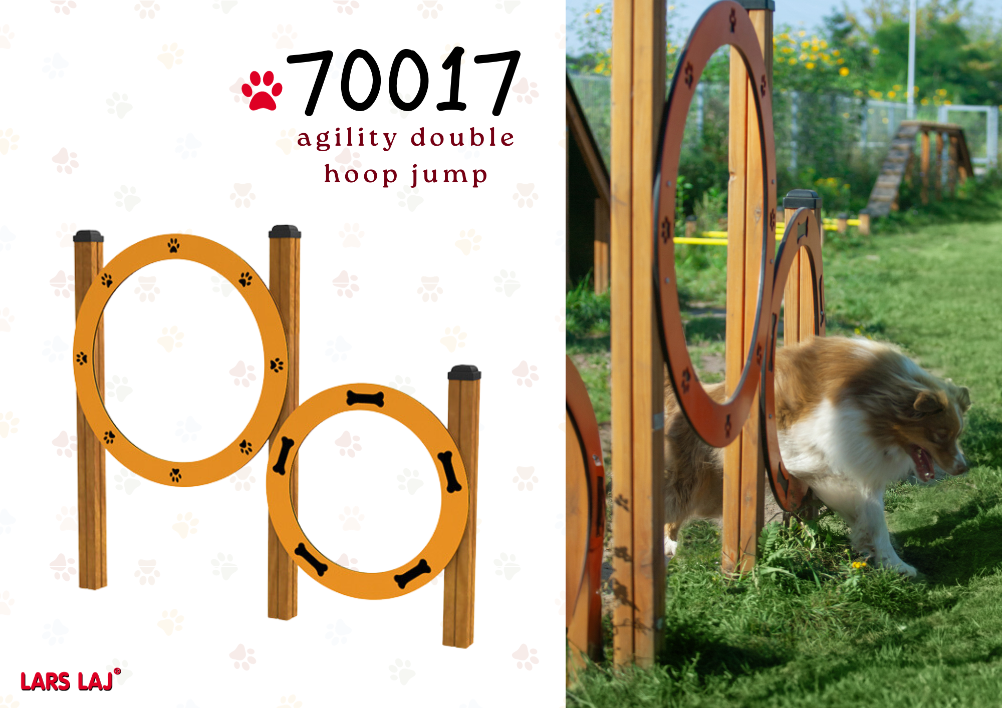 dog agility hoops