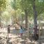 Cầu chơi ngoài trời Captain’s Bridge Eco bằng gỗ thân thiện với môi trường cho trẻ em.